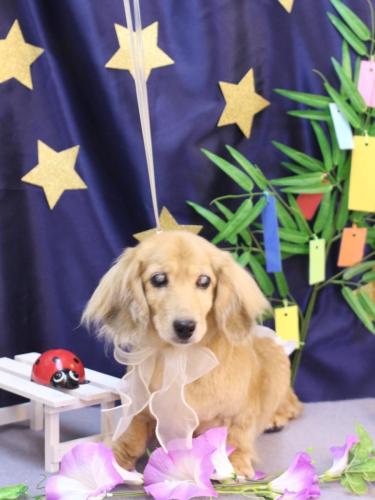 20230723バナナちゃん